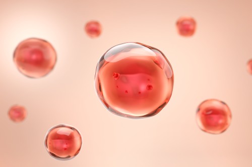 メタボリックシンドローム