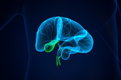 胆のう・胆道の疾患