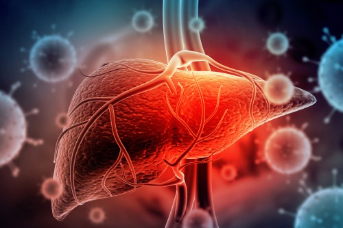 C型肝炎ウイルスに感染するとどうなるのか